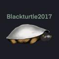Blackturtle2017