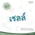 รูปโปรไฟล์ของ net721th