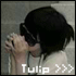 Tulip >>> ทิวลิป ^.^