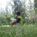 writer