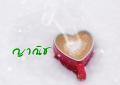 writer