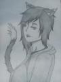 writer