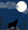 รูปโปรไฟล์ของ Night_wolf