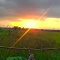 รูปโปรไฟล์ของ valley072