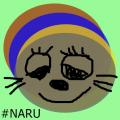 รูปโปรไฟล์ของ NArU1727