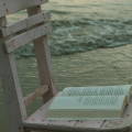 writer