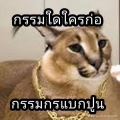 รูปโปรไฟล์ของ armpc1412