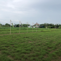 รูปโปรไฟล์ของ tarntongma