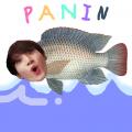 รูปโปรไฟล์ของ panin_panin