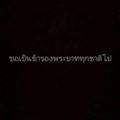 รูปโปรไฟล์ของ Chanisara1604