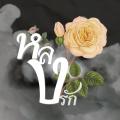 writer