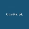 writer