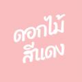 writer