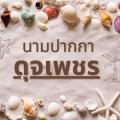รูปโปรไฟล์ของ PrapasriSanpitak