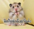 ไปดู My.ID - gublurmakmak