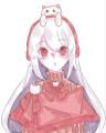 writer