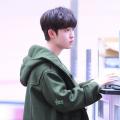 รูปโปรไฟล์ของ dinomino