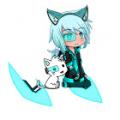 writer