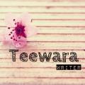 writer