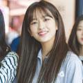 รูปโปรไฟล์ของ jijilony