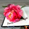 Peoney_Black_Night