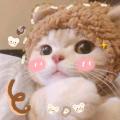 รูปโปรไฟล์ของ Chu_Prem
