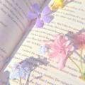 writer