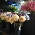 รูปโปรไฟล์ของ Demirata