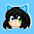 writer