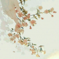 writer