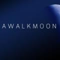 รูปโพรไฟล์ของ Awalkmoon