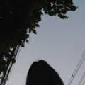 รูปโปรไฟล์ของ Strory_f