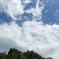 รูปโปรไฟล์ของ Phuket3579