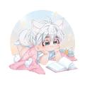 writer