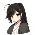 writer
