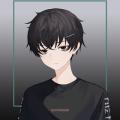 writer