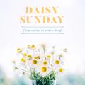 รูปโปรไฟล์ของ DaisySunday