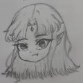 writer