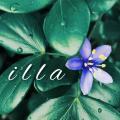 รูปโพรไฟล์ของ illa-at