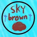 รูปโปรไฟล์ของ skybrown0409