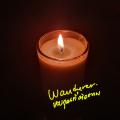 รูปโปรไฟล์ของ wanderingforever