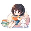 writer