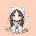 writer