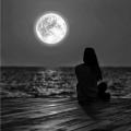 รูปโปรไฟล์ของ Themooninthehart