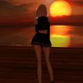 reviewer author