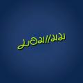 writer