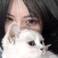 รูปโพรไฟล์ของ Mikasa_ririn