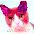 รูปโพรไฟล์ของ SPACEXPINKCAT