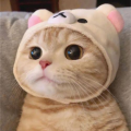 รูปโปรไฟล์ของ 27437323mmm